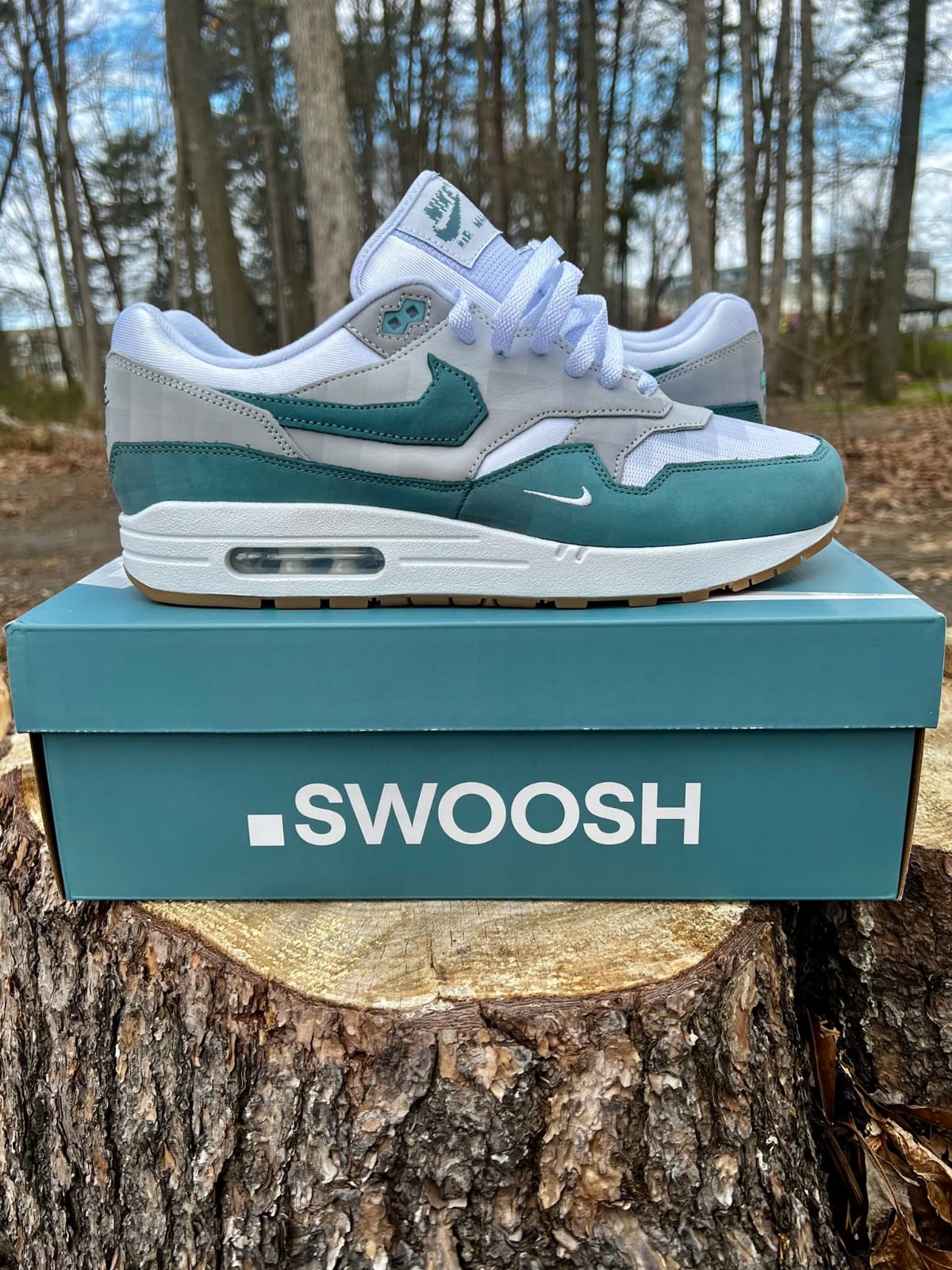 Nik_ee Airmax 1 swoosh low poly